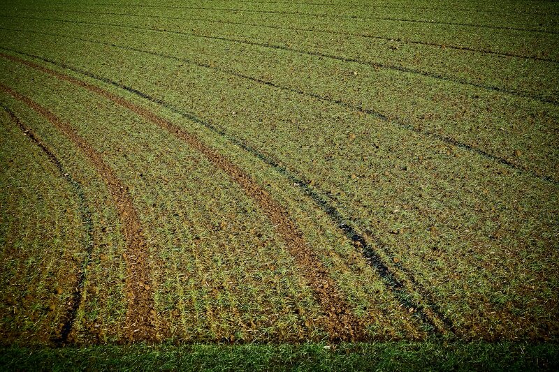 Cumparam terenuri agricole Ialomita, Braila ,Galati